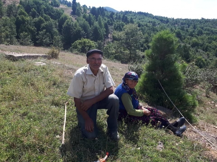 50 Yıldır Hayvancılık Yapıyorlar