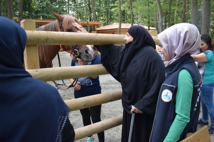Kartepeli Büyüklerden Yaşam Parkını Gezdi