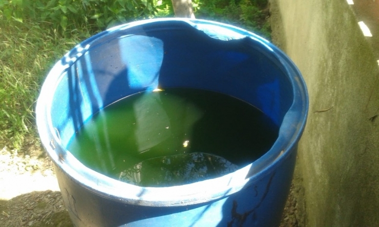 Körfez’de Sivrisinekle Mücadele