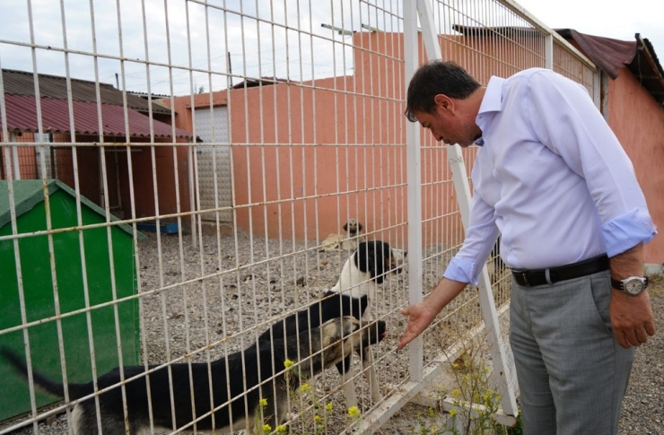 Rektör Ayrancı’dan Örnek Uygulama