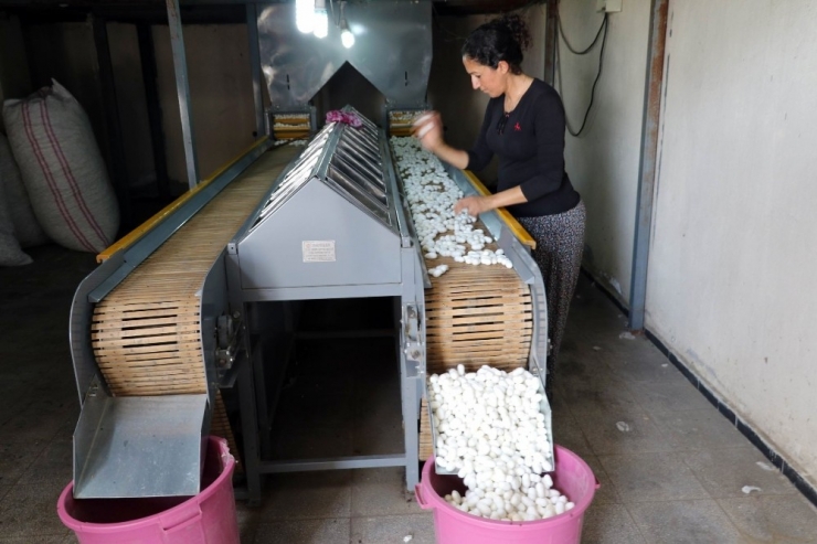 İpek Üretiminin Başkenti Diyarbakır