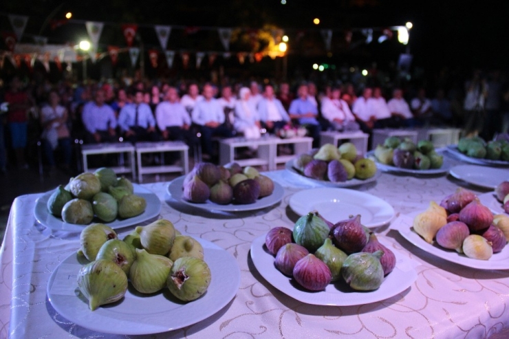 Belen’de İncir Üreticileri Yarıştı