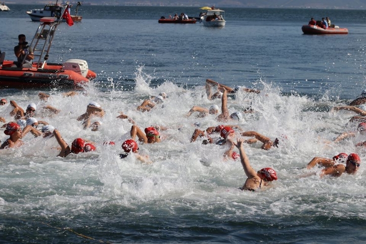 ‘Altın Kulaçlar’ Karamürsel’de Yarıştı