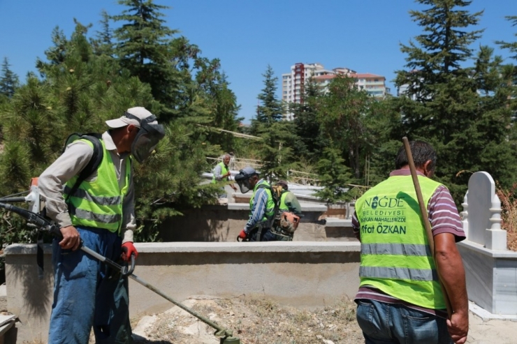 Belediye Niğde’yi Yeşillendiriyor