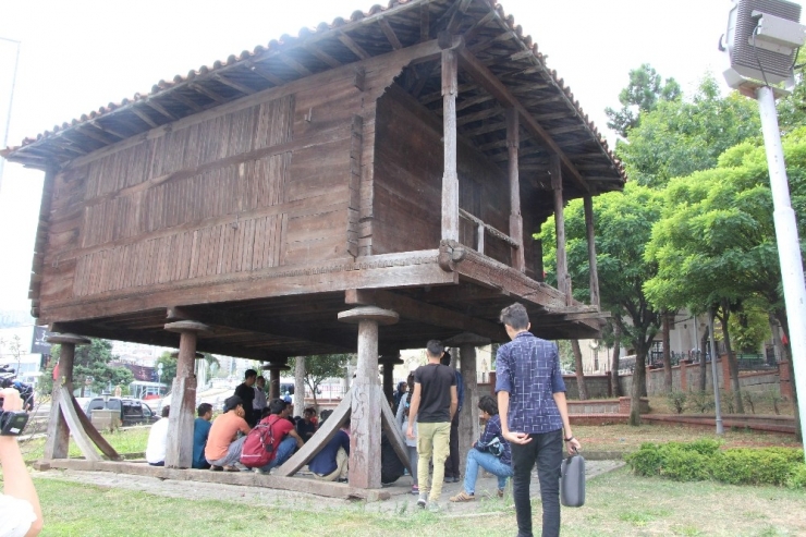 Savaştan Kaçtılar, Serendere Sığındılar