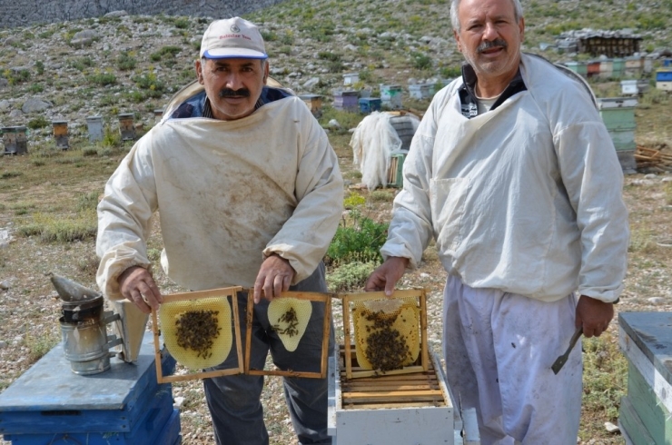 Akseki’nin Meşhur Çimi Yaylası Balı İklim Kurbanı Oldu