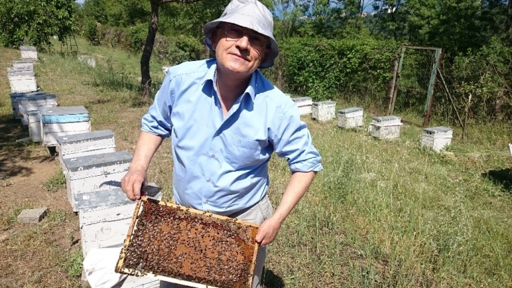 ’Ballı’ Üniversite