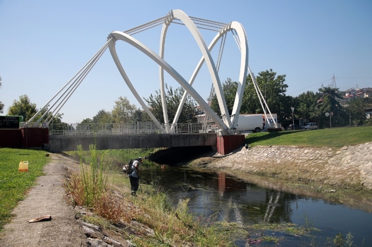 Çark Deresi’nde Temizlik Çalışmaları Sürüyor