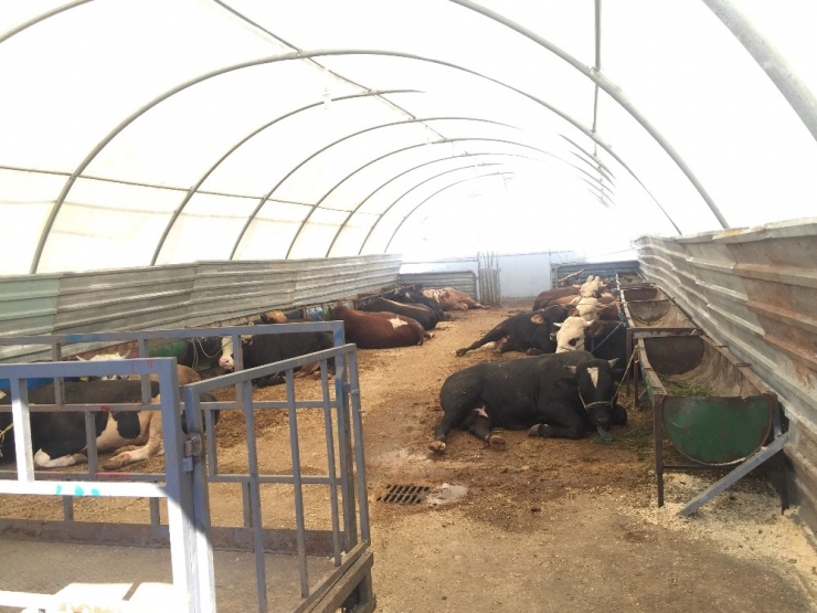 “Emekli İkramiyelerinden Sonra Satışlar Daha Da Artacak”