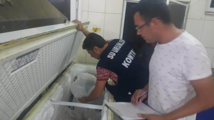 Antalya’da Av Yasağı Bulunan Orfoz Ve Lagos Denetimi