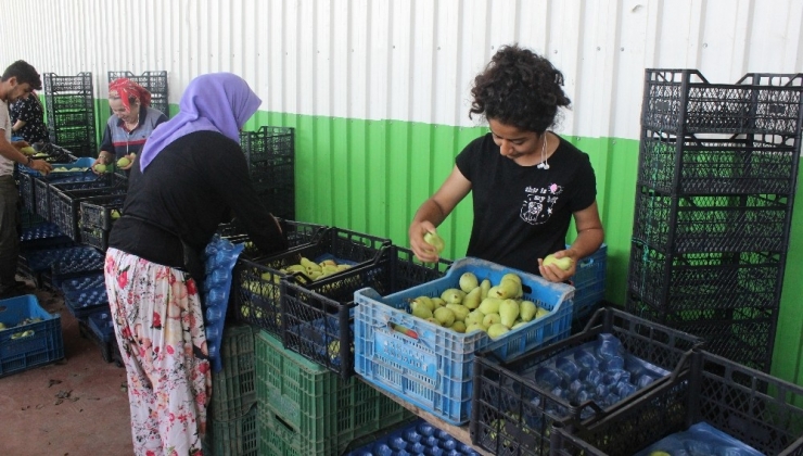 Amerika’nın Ekonomik Ambargo Teşebbüsüne "Santa Maria"lı Cevap