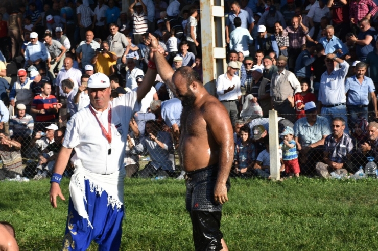 Tosya Güreşleri’nde Başpehlivan Orhan Okulu Oldu