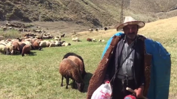 Bayramı Sürüsünü Otlatarak Geçirdi