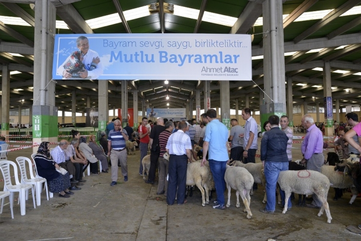 Tepebaşı Belediyesinde Kurban Hizmetleri Kız Kesmedi