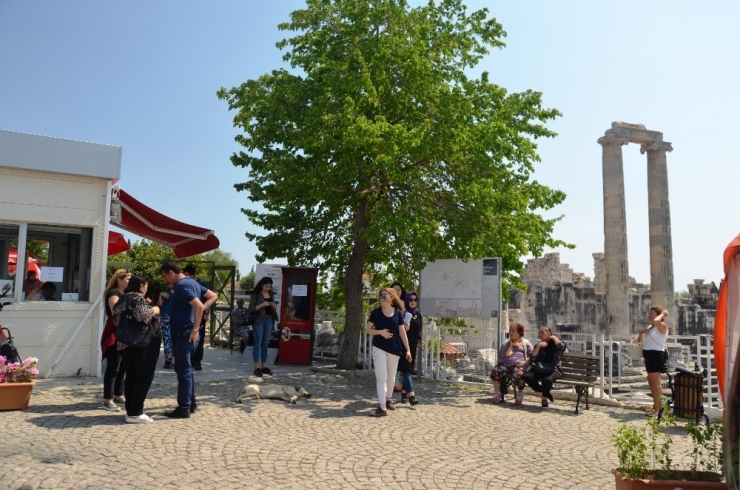 Apollon Tapınağı’na Turist Akını
