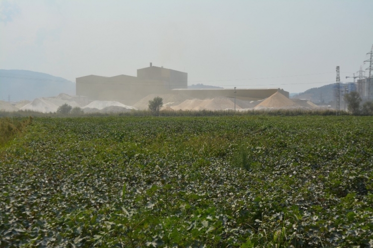 Söke Ovası’nda Toz Tehdidi