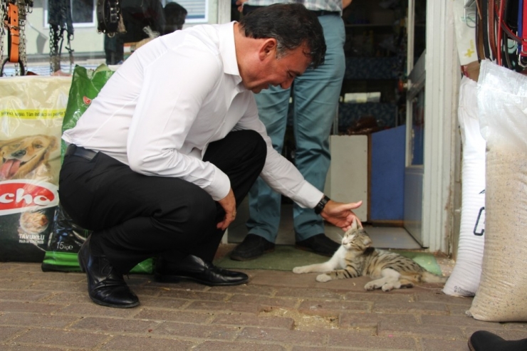 Başkan Akın’dan Sokak Hayvanları İçin Proje