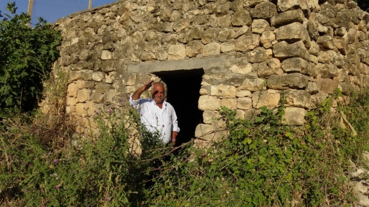 Gercüş’te Tarihi Değirmenler Onarılmayı Bekliyor