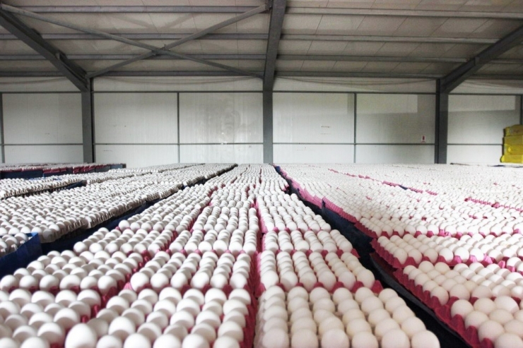 Afyonkarahisar’ın İhracatı Arttı