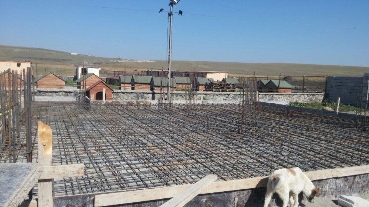 Kars Belediyesi Modern Hayvan Kliniği’nin Temellerini Attı