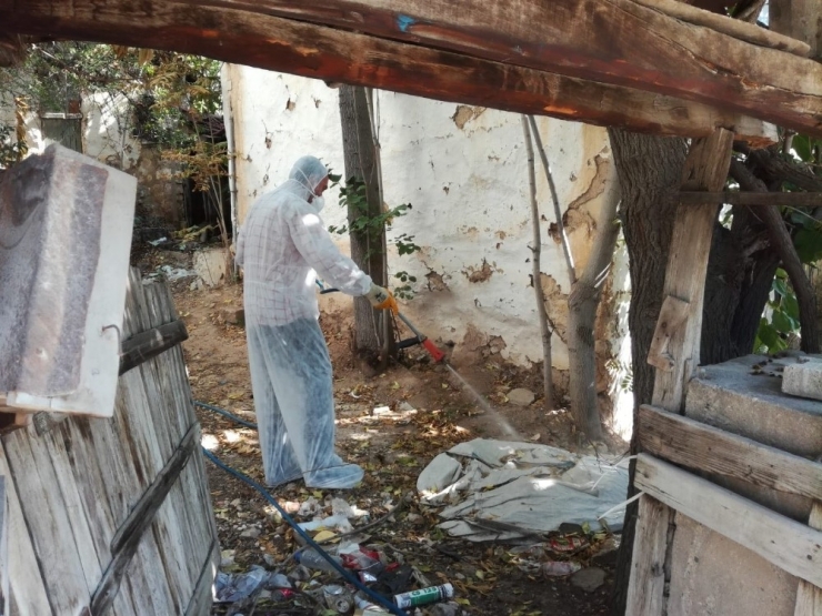 Bilecik Belediyesi’nden İlaçlama Çalışması