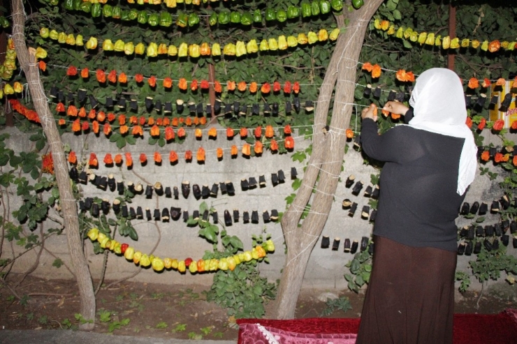 Silvan’da Kurutmalık Sezonu Başladı