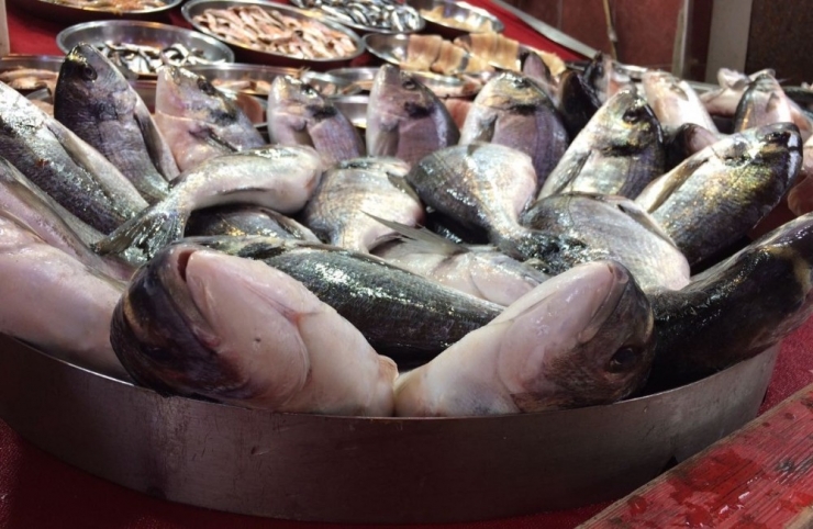 ’Dolar’ Balıkçıları Da Vurdu