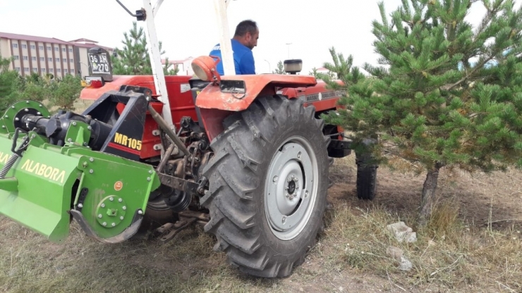 Kafkas Üniversitesi’nde Çevre Düzenlemesi