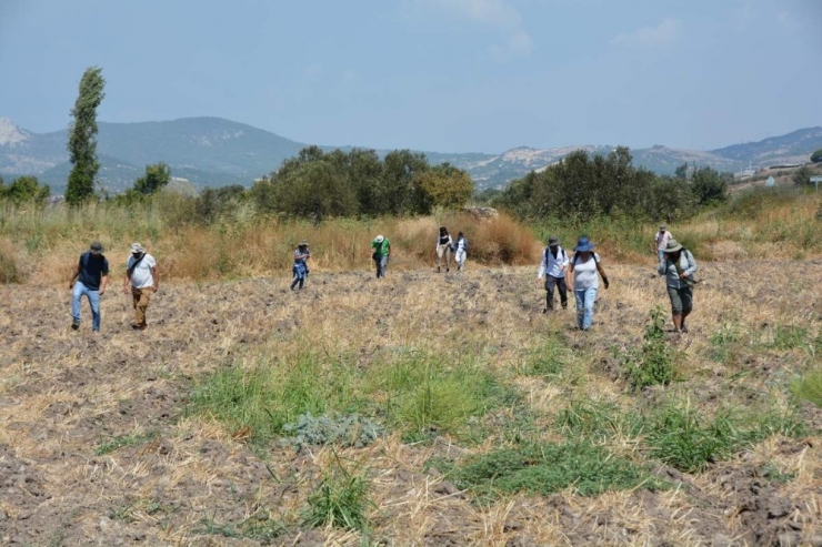 Aliağa’da Dev Kültür Hamlesi