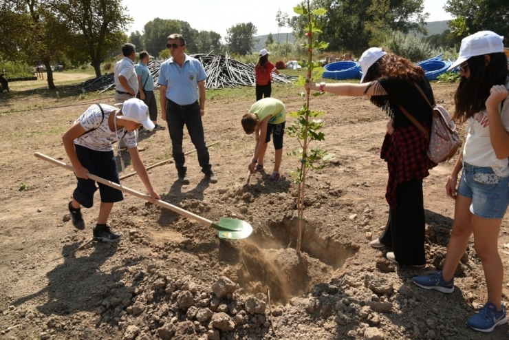 Özel Yetenekli Öğrencilerden Doğaya Katkı