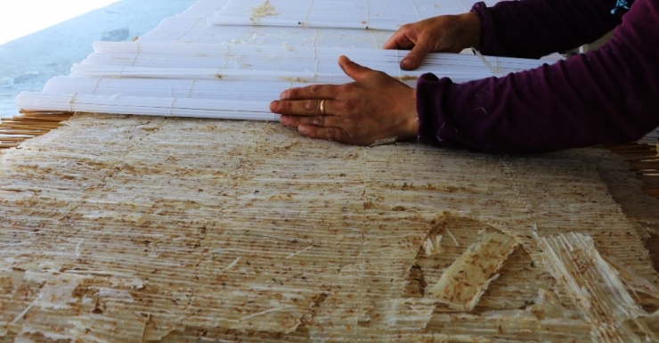 Kahramanmaraş’ın Cips Tarhanası