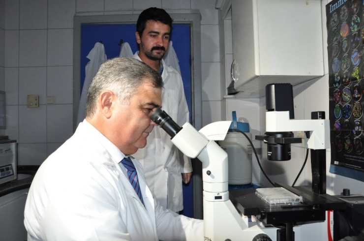 Profesörden ’Çay Üretiminde Bor Gübresi Kullanılsın’ Önerisi