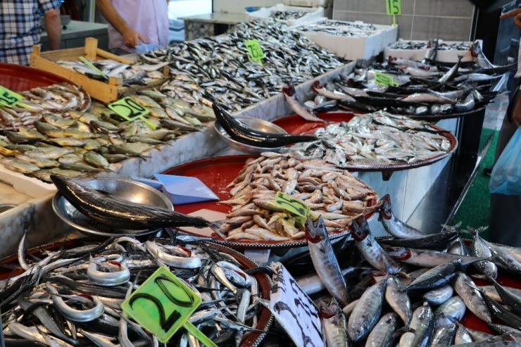 Rize’de Tezgahlarda Balık Bolluğu