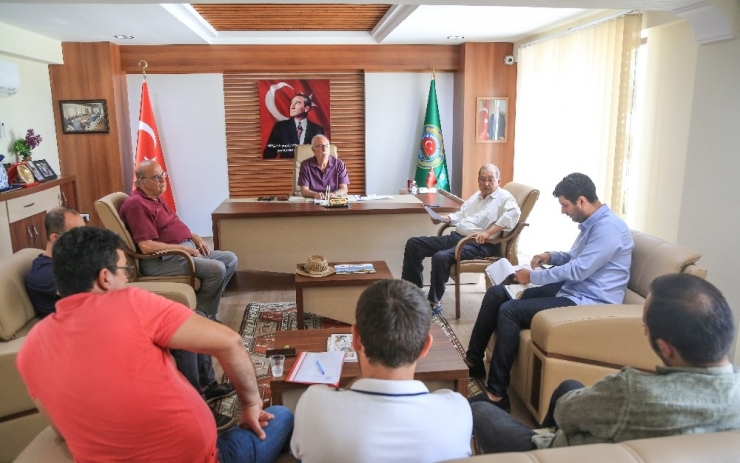 Milas’ta 2500 Ton Zeytinyağı Rekoltesi Bekleniyor