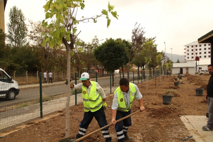 Millet Bahçesi’ne 2 Bin Ağaç Dikilecek