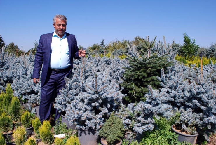 İstanbul Yeni Havalimanını Manisa’nın Fidanları Süsleyecek