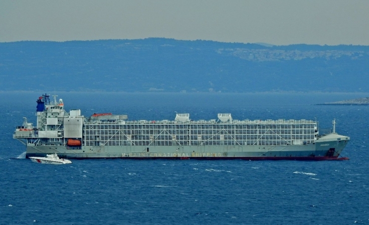 Şarbonlu Olduğu İddia Edilen Gemi Çeşme’yi Terk Etti