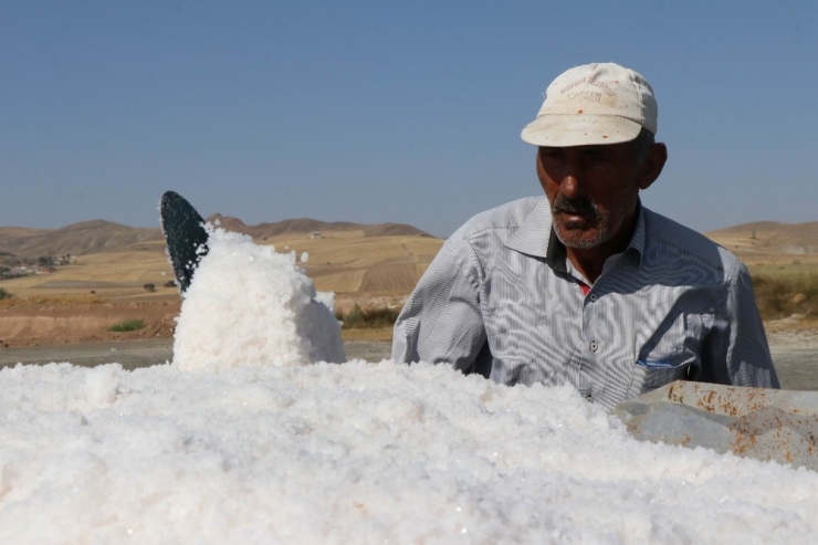 En ’Tuzlu’ Hayat