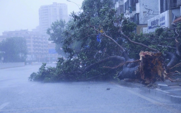 Mangkhut Tayfunu Çin’e Ulaştı: 2 Ölü