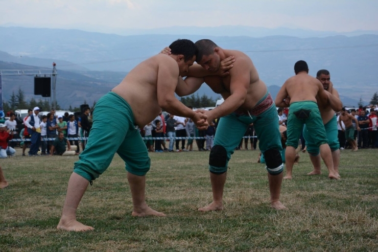 Güreşin Kalbi Niksar’da Attı