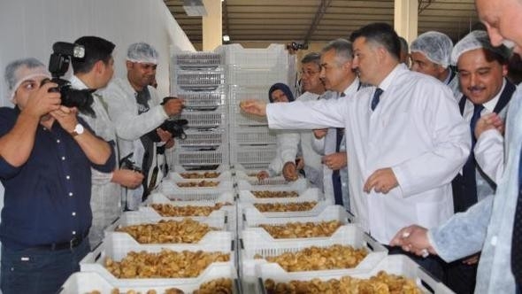 Aydın Ticaret Borsası, Bakan Pakdemirli’den İncire Destek İstedi