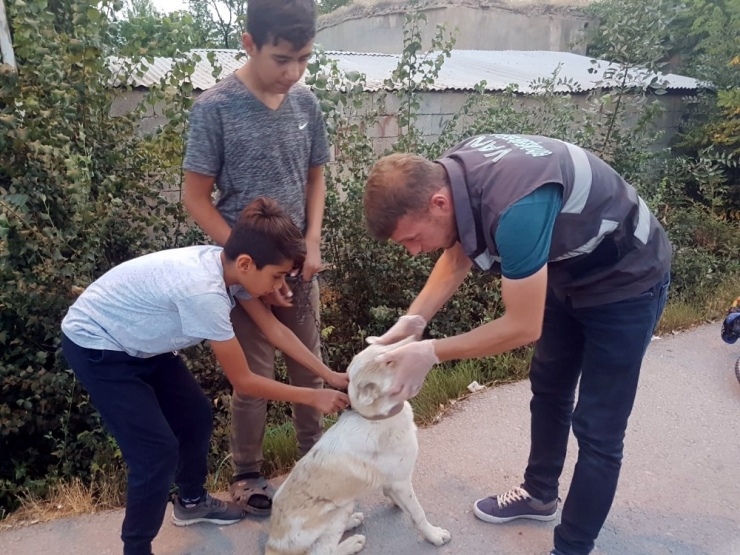 Vanlı Çocuklardan Örnek Davranış