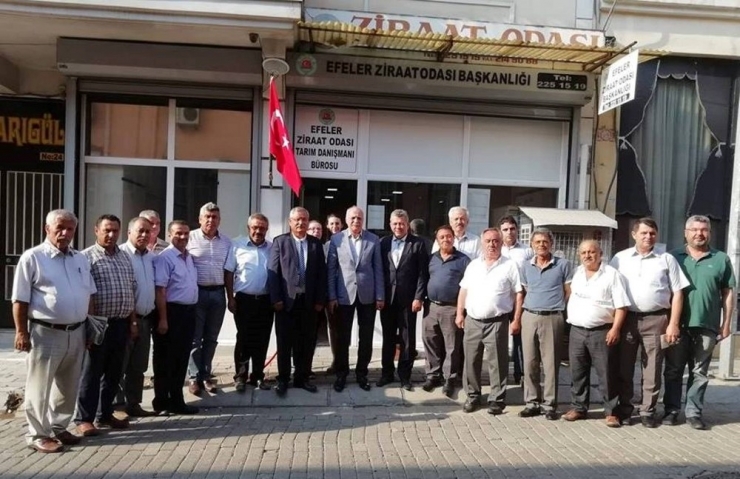 Aydın Ziraat Odaları, Bakan Pakdemirli’den İncire Sigorta İstedi