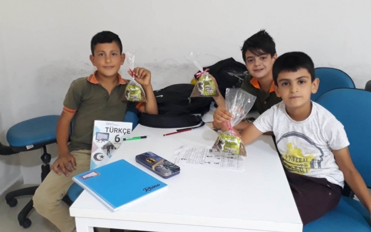 Kartepe’de Sokak Hayvanları Farkındalığı