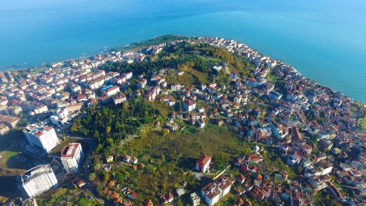 Ünye’de Yeşil Alan Ortalaması Dünya Ortalamasını Geçti