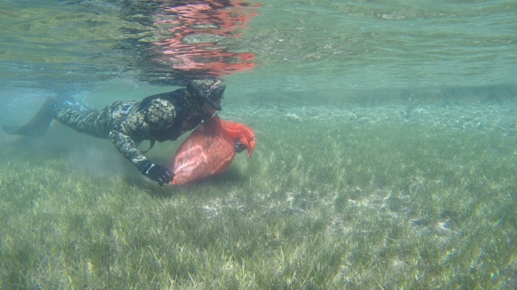 Dalış Tuzla Ve Yediadalar’da Devam Etti