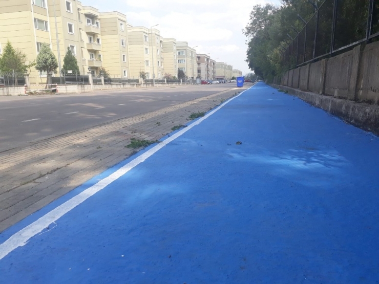 Yeni Yürüyüş Yolu Alikahya’da