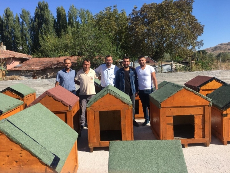 Japon-türk Dostluğu Sokak Hayvanlarına Kadar Uzandı