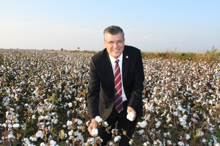 Ayhan Barut’tan Pamuğa Destek Çağrısı