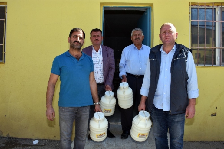 Muş’tan Dünyaya Peynir İhracatı